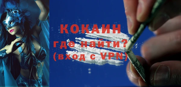 ECSTASY Богданович