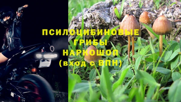 ECSTASY Богданович