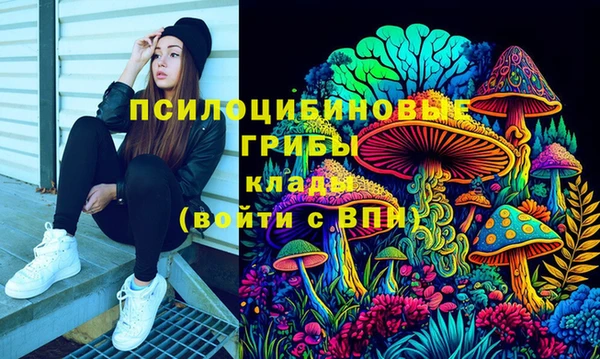 прущая мука Бородино