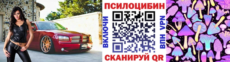 Галлюциногенные грибы GOLDEN TEACHER  Усть-Лабинск 